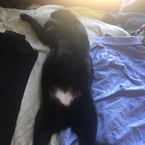 Meet your Posher, Kaamila